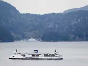 Police Incident Aboard Queen of Surrey Halts All Ferries at Horseshoe Bay
