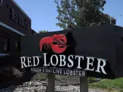 Red Lobster Revives Endless Shrimp Deal That Previously Led to Bankruptcy