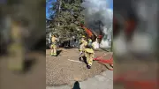 Regina Firefighters Contain Multiple Weekend Blazes, Rescue Cat