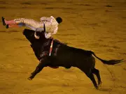 Retired Bullfighter Fatally Gored While Preparing Bulls for Spanish Event