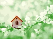 Spring Real Estate Guide: 5 Key Insights on Market Trends and Price Drops