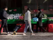 State-Run Grocery Stores: A Costly Policy Distraction from Real Food Price Issues