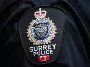 Surrey Police Seek Witnesses to Critical Hit-and-Run Pedestrian Collision