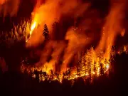 Survey: Over Half of B.C. Residents Unprepared for Wildfires