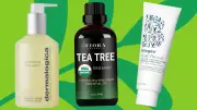 Tea Tree Oil: Science-Backed Benefits and Top Product Recommendations