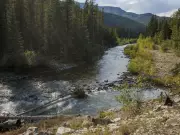 The Oldman River's Cry: Drought and Deforestation Threaten Vital Watershed