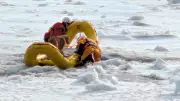 Thunder Bay Fire Rescue Saves Dog Trapped on Ice Floe in Dramatic Operation