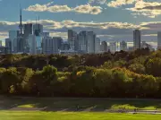 Toronto Parks to Get Food Trucks and Carts This Summer