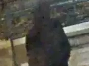 Toronto Police Hunt Suspect in West End Jogger Sexual Assault