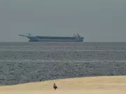 Trump's Proposed Strait of Hormuz Blockade Threatens Global Energy Flows