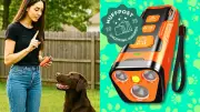 Ultrasonic Dog Training Device Stops Barking Instantly, Now on Sale
