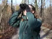 Windsor Weekend Guide: Stargazing, Music, Wine Hikes, and Local Events