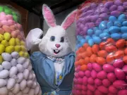 Windsor's Easter Weekend: Egg Hunts, Drag Shows, and Family Fun