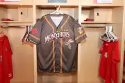 Winnipeg Goldeyes Announce April Fools' Rebrand as Manitoba Mosquitoes for July Game