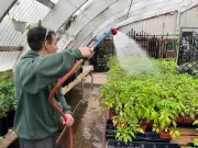 Winnipeg Residents Turn to Home Gardening to Combat Rising Food Costs