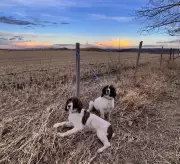 Winter's Return: Calgary Braces for Late-Season Snowfall This Week