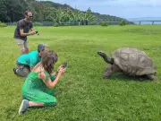 World's Oldest Tortoise Jonathan, 193, Survives April Fool's Death Hoax