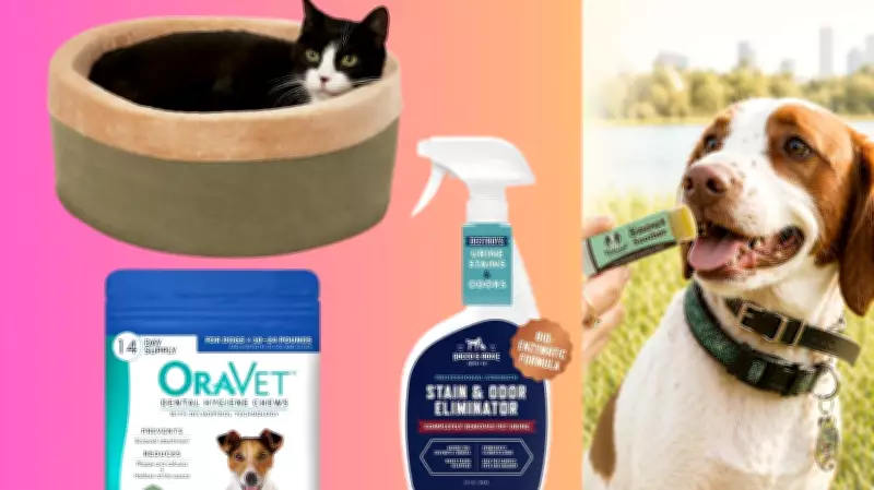 15 Best Products for Senior Pets: Beds, Chews, and More