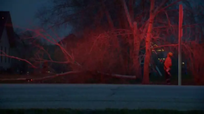 19-Year-Old Seriously Injured by Falling Tree in Muskoka Storm