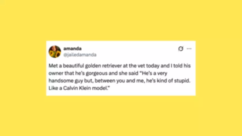 20 Hilarious Pet Posts to Make You Howl This Week