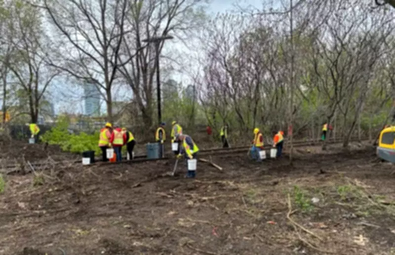 2,000 Needles Collected at Former Encampment Near Ottawa O-Train Stations
