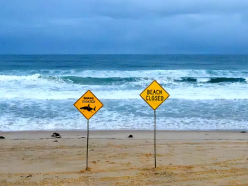 38-Year-Old Man Dies in Australia's Second Fatal Shark Attack of 2026