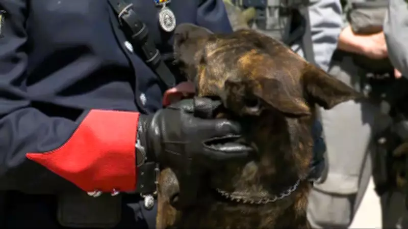 6 Dogs and a Horse Receive Calgary Police Badges in Ceremony