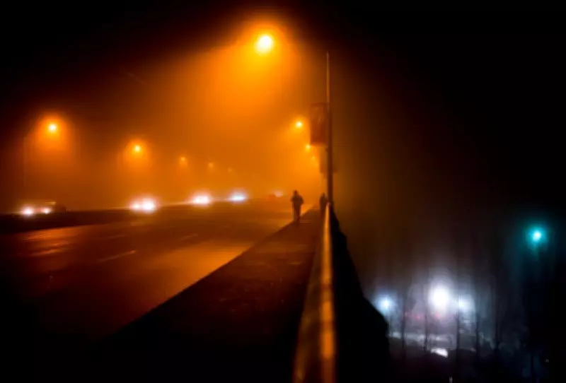 Advocates Urge Barrier on Vancouver Bridge After Suicide