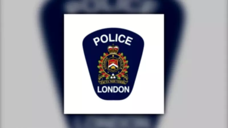 Aggressive Dogs Identified and Located in London