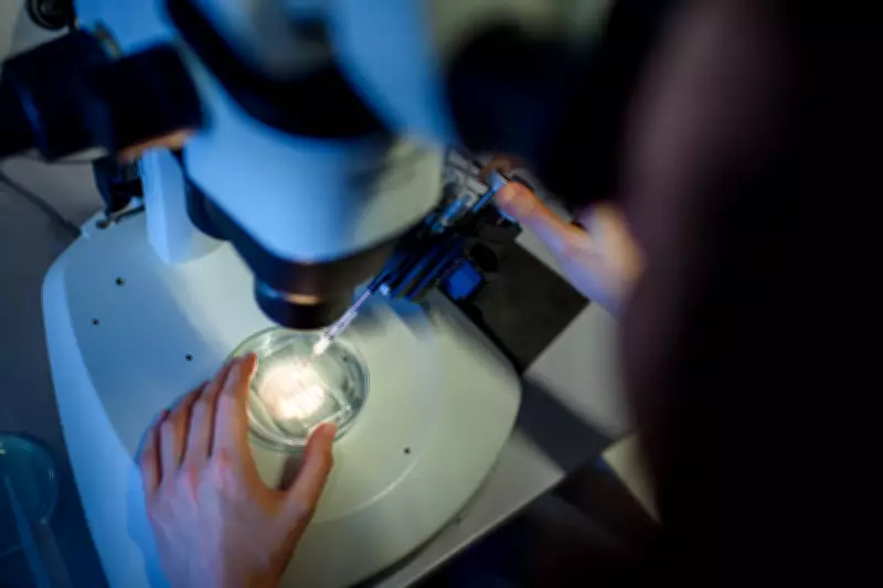 Aging Better: Tech and Chronic Disease Reduction Key to Longevity