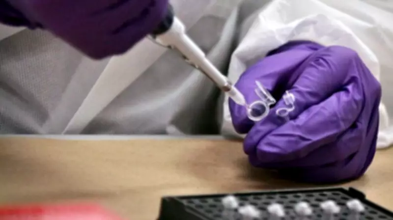Alberta to Build First Provincial Forensic DNA Lab in Western Canada