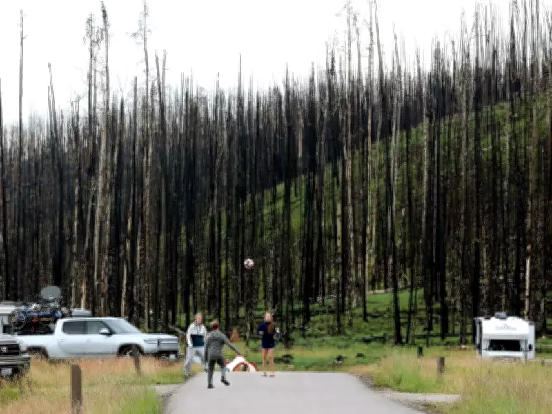 Alberta Wildfire Evacuees Need Better Support, Research Shows