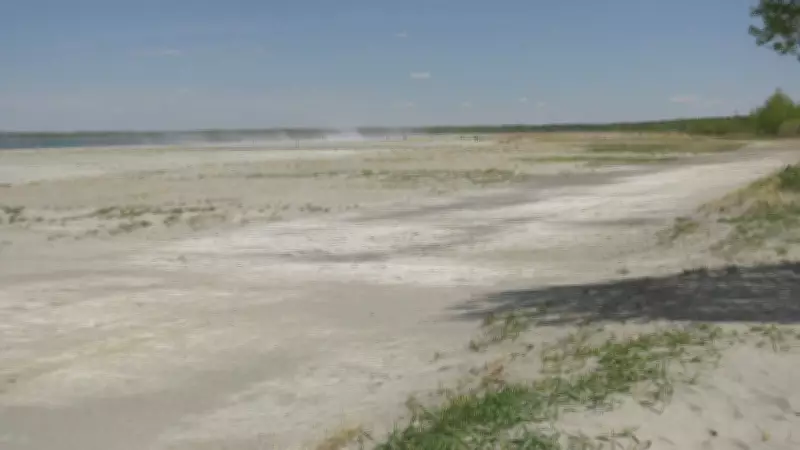Alberta's Gull Lake Losing 20 cm Per Year; Advocates Seek Solution