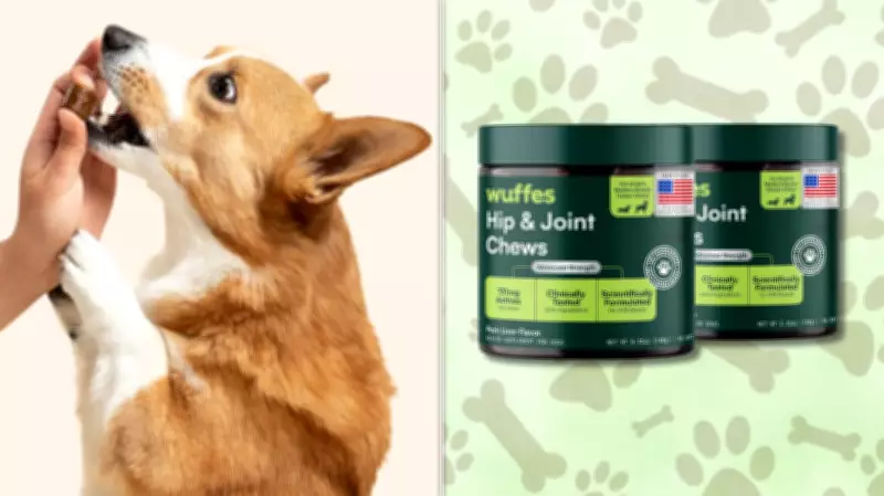Amazon Pet Sale: Wuffles Joint Chews for Senior Dogs at 20% Off