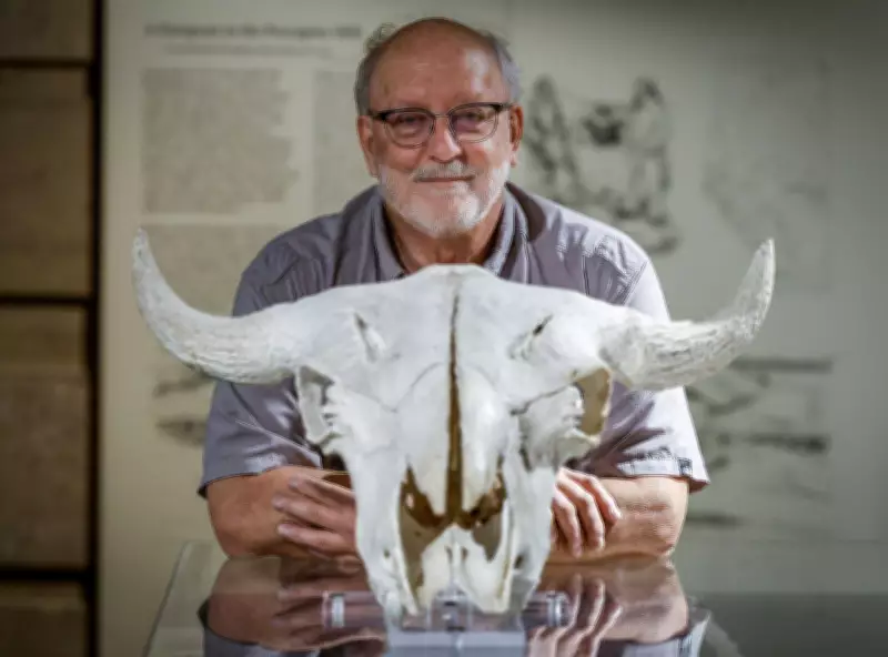 Archaeologist Reflects on Decades at Head-Smashed-In Buffalo Jump