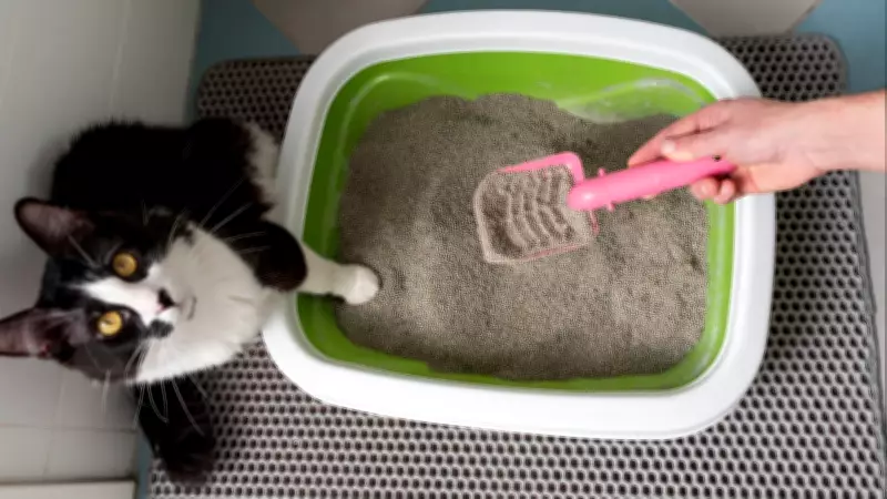B.C. condo owner owes $55K after tenant flushed cat litter: tribunal
