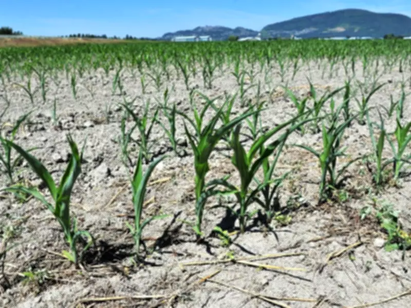 B.C. drought triggers early water restrictions; global forest loss down but still high