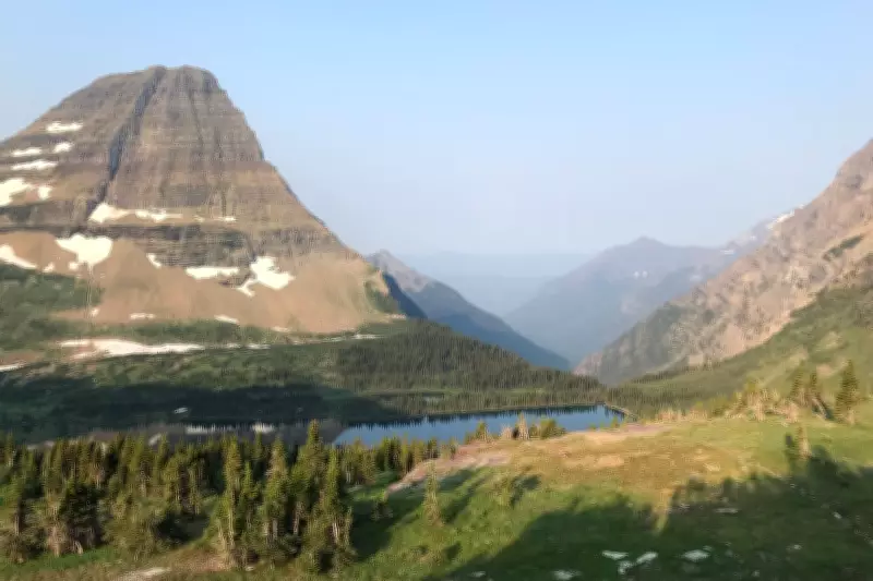 Bear Attack Likely Kills Hiker in Glacier National Park for First Time in Decades