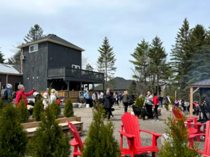 Bernese Mountain Dog Owners Gather for Community Walk in Guelph