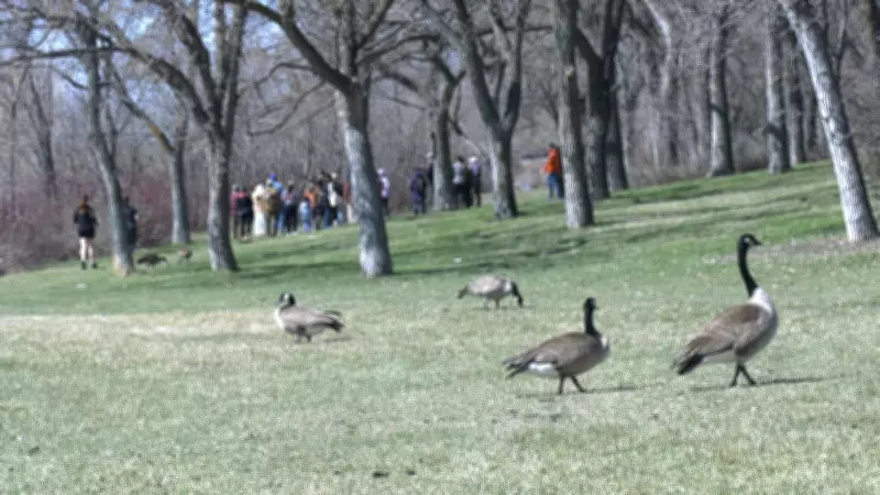 Bird Enthusiasts Flock to Saskatchewan Science Centre for World Migratory Bird Day