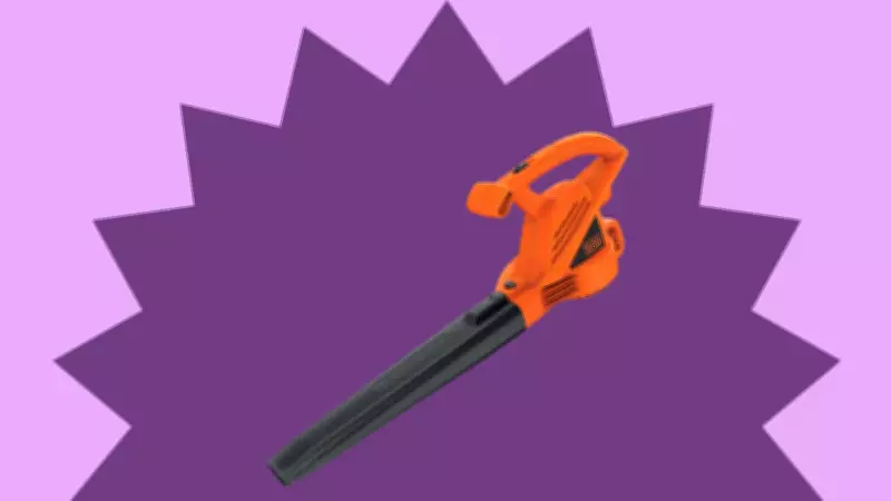 BLACK+DECKER Electric Leaf Blower Now Only $42.99 at Amazon