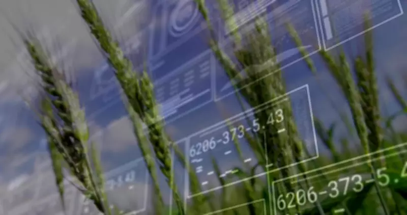 BlackSwan Cyber Group: Building a Vendor-Neutral Firm with Mentorship Culture in Saskatchewan