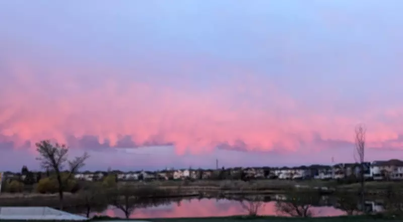 Calgary Braces for Rain and Chilly Long Weekend Ahead