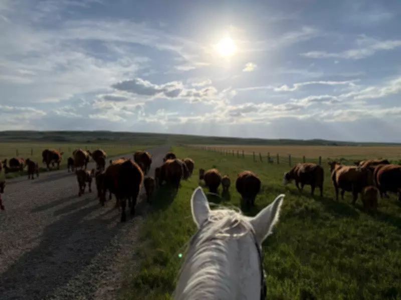 Calgary Braces for Rainy Weekend After Final Hot Day