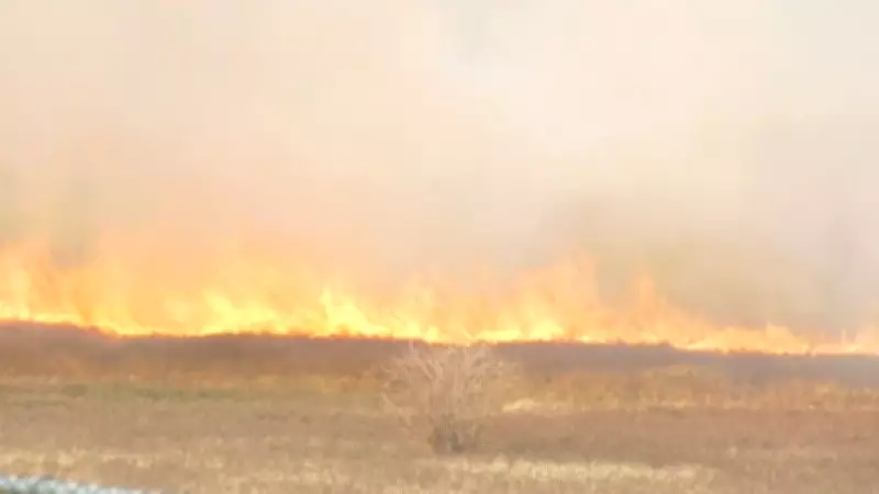 Calgary Firefighters Douse 4-Acre Grass Fire in Northeast