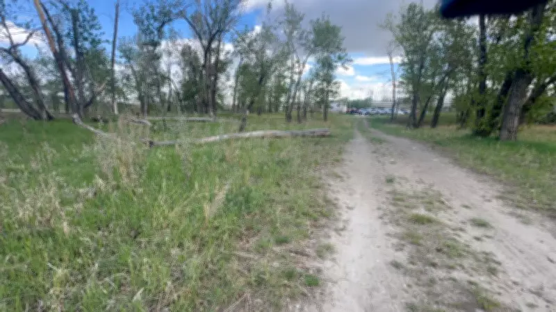 Calgary Humane Society Probes Neglect After Two Dogs Found Dead in Park