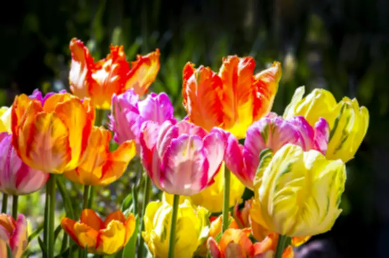 Calgary Kicks Off Warm Weather Stretch with Sunny Weekend