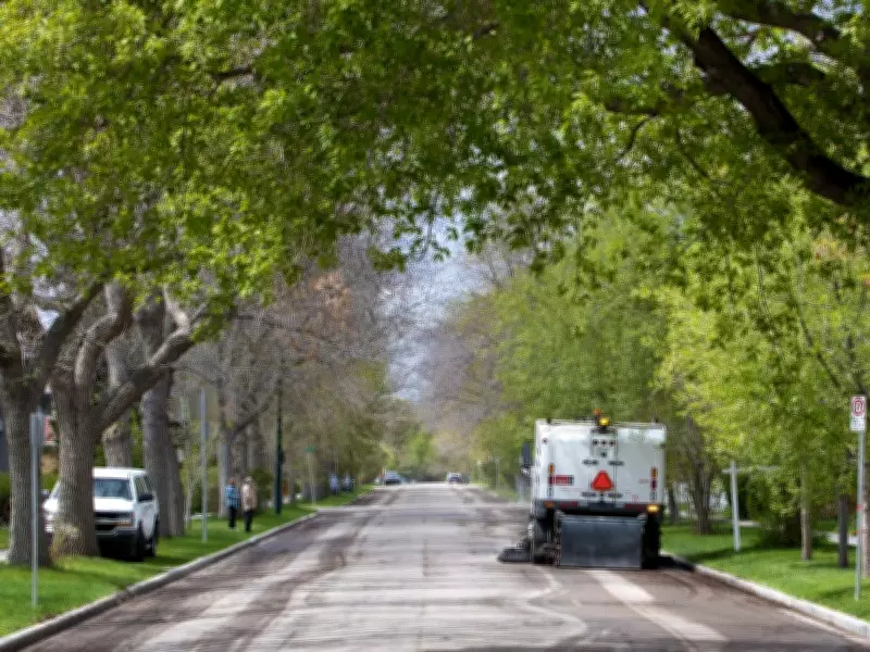 Calgary to Plant 180,000 New Trees in 2026, Focusing on Low-Canopy Areas