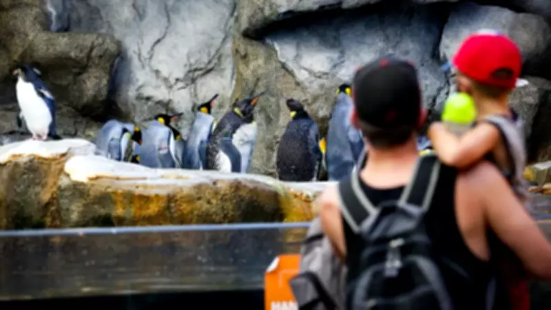 Calgary Zoo Takes Precautions After Bird Flu Confirmed at Nearby Poultry Plant