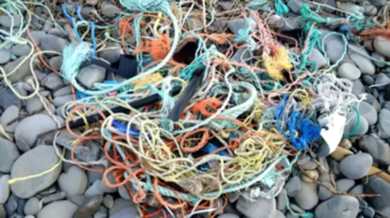 Canada Launches Ghost Gear Fund to Combat Marine Debris on BC Shores